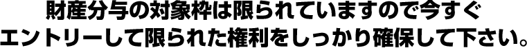 財産分与の対象枠は限られていますので今すぐエントリーして限られた権利をしっかり確保して下さい。